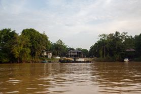 Borneo Camera 41