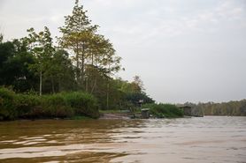 Borneo Camera 42